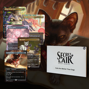 Secret Lair Drop Series: Chaos Vault: Cats Are Better Than Dogs