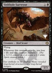 Sinkhole Surveyor