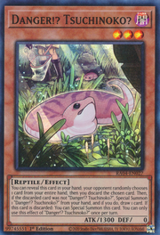 Danger!? Tsuchinoko?