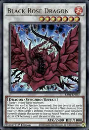 Black Rose Dragon