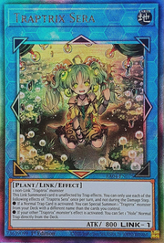 Traptrix Sera