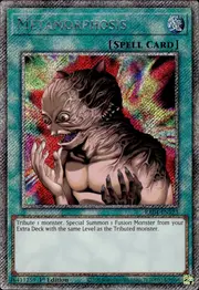 Metamorphosis