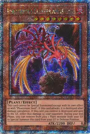 Phoenixian Cluster Amaryllis