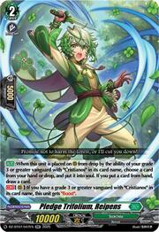 Pledge Trifolium, Reipens