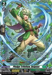 Pledge Trifolium, Reipens