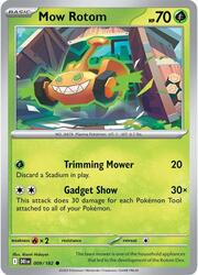Rotom Taglio