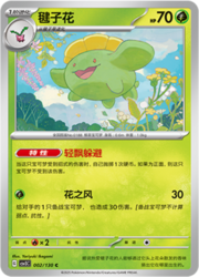 Skiploom