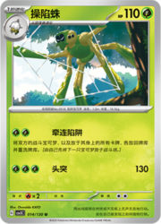 Spidops