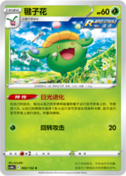Skiploom