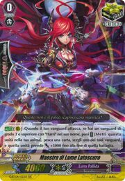 Darkside Sword Master