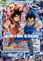 Son Goku // Son Goku & Vegeta, Tag Team in Hell