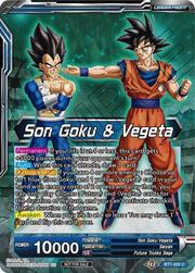 Son Goku & Vegeta // SSB Vegito, Energy Eruption