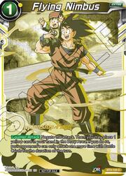 Flying Nimbus