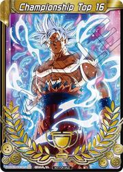 Championship Final 2019 Merit Card