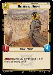 Mysterious Hermit