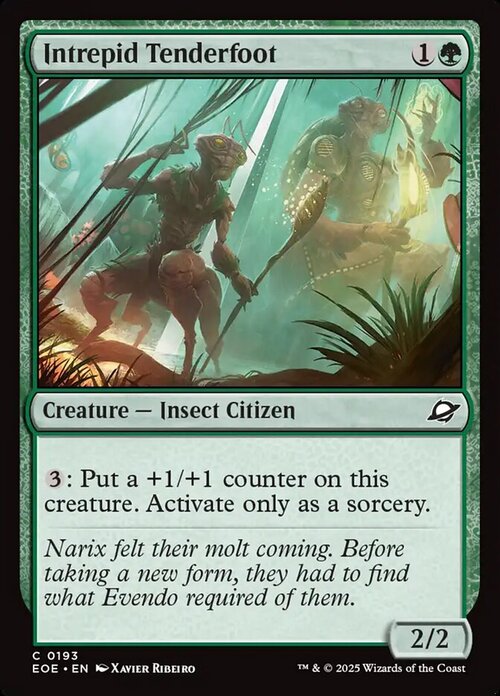Intrepid Tenderfoot Card Front