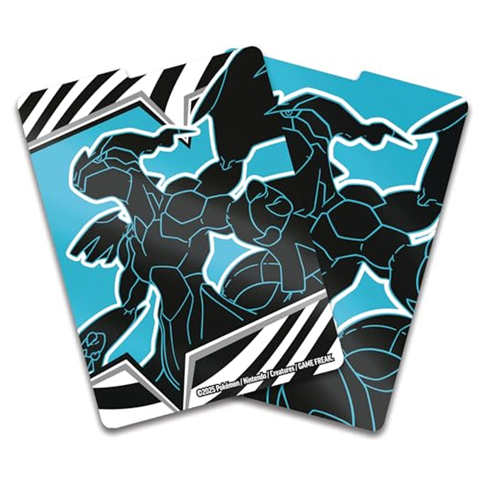 Black Bolt: Zekrom Divider