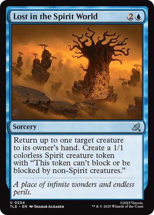 Lost in the Spirit World Card Front