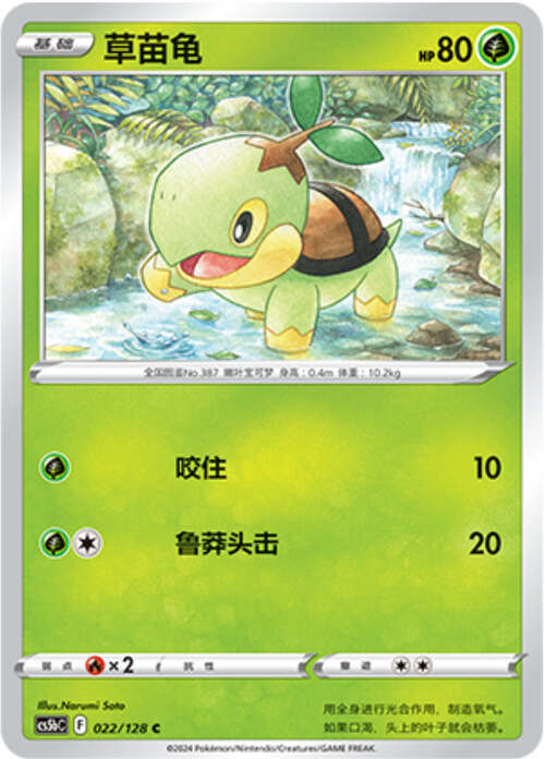Turtwig Card Front