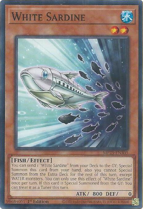 White Sardine Card Front