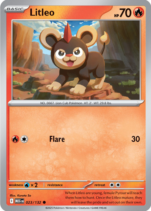 Litleo Card Front