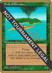 Birds of Paradise