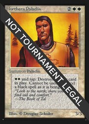 Northern Paladin
