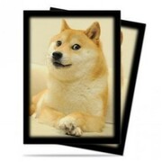 50 Fundas Doge