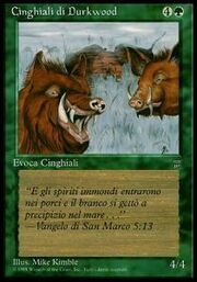 Cinghiali di Durkwood