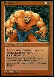 Il Bruto