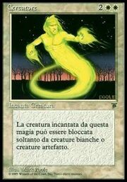 Cercatore