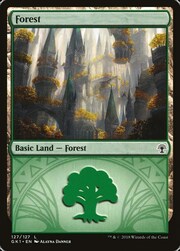 Foresta