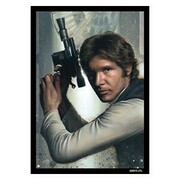 50 Fundas Star Wars: Han Solo Rogue