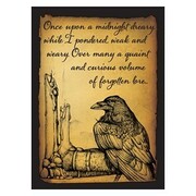 50 Fundas Raven