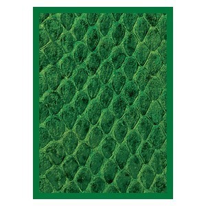 50 Fundas Dragon Hide