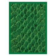 50 Fundas Dragon Hide