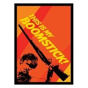 50 Fundas Boomstick