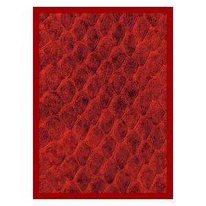 50 Fundas Dragon Hide