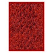 50 Fundas Dragon Hide