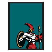 50 Fundas Legionaire