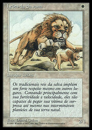 Leoni della Savana