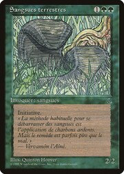 Sanguisughe di Terra
