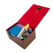 Dex Protection Creation Line Medium Deck Box