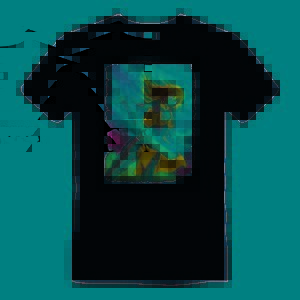 T-Shirt Warrior