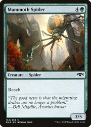 Ragno Mammut