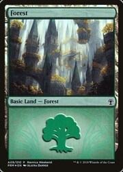 Foresta