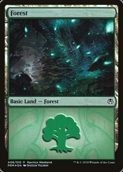 Foresta
