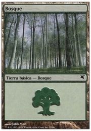 Foresta