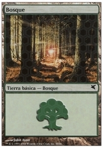 Forest Card Front