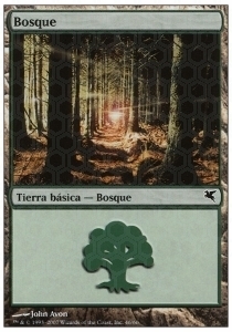 Forest Card Front